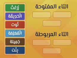 الدرس الثاني مادة التربيه الاسلاميه الصف الثاني 